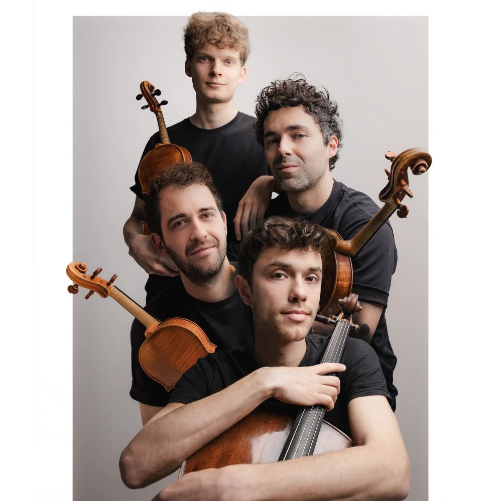 The Vision String Quartet